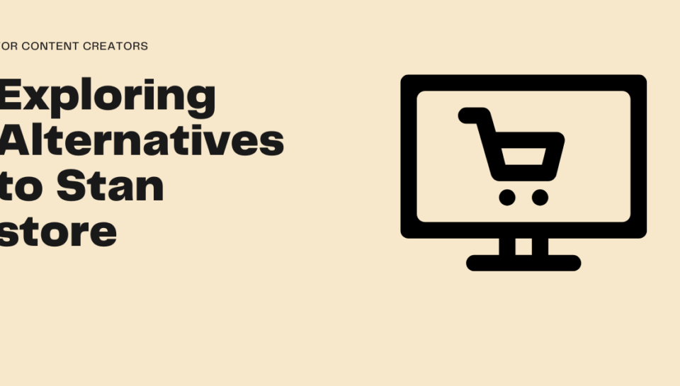 alternatives to stan store